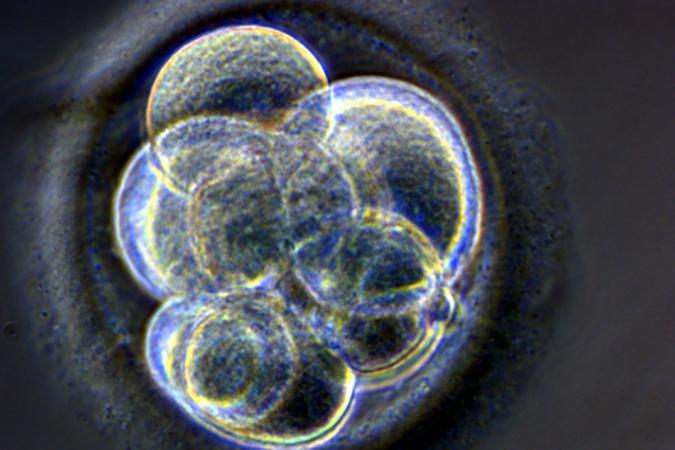 Transcriptional regulation of pluripotency in embryonic stem cells